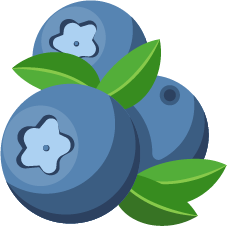 blueberry